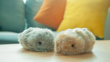 卡西欧机器人宠物Moflin 在日本销售一空 