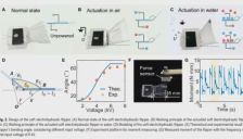 上交大团队研发软体电液鳍驱动两栖机器人：三种运动模态自如切换！ 