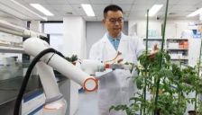 世界首台智能育种机器人“吉儿”登上《细胞》杂志 