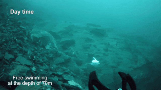 海洋探索卡脖子？浙大团队新发明让机器鱼“耳聪目明”，流速感知误差压到 0.015m/s！  