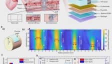 瞩目！一日狂揽顶刊5篇+1封面！中国团队硬核构筑柔性电子强国之路 