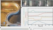 刚登Nature 子刊！华科大柔性 FEbots 机器人，突破微型机器人集成瓶颈 