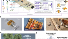 刚登Nature 子刊！华科大柔性FEbots机器人，突破微型机器人集成瓶颈 