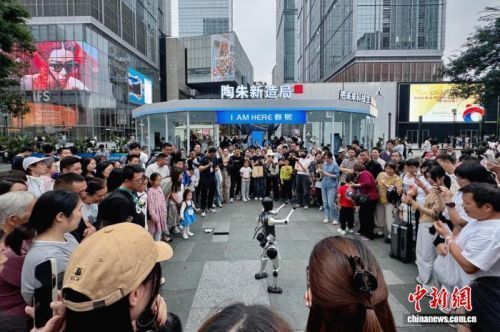 成都春熙路机器人热潮涌动 “锦江智造”融景入生活