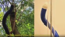 让藤蔓机器人乖乖“听话”！MIT林肯实验室×圣母大学破解操纵难题！ 