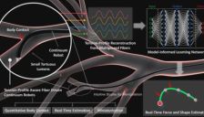 给手术机器人装上“触觉大脑”！中国团队研发光纤触觉机器人，实现介入手术“全身感知” 