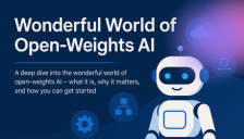 Wonderful获1亿美元A轮融资，一场关于“落地”的闪电战 