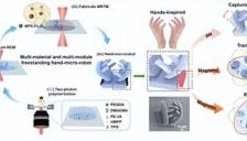 中国科学院团队打造3D手型微纳机器人——“手到擒来”的微观“快递员” 