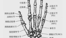 为什么造机器人灵巧手比造人形机器人还难？ 