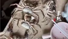 顾客伪造螃蟹损坏图骗退款被拘8日 