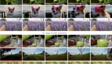 AI视频的“第三条道路”：当苹果STARFlow-V，用“归一化流”，向Sora与Veo，发起“非对称”攻击 