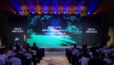 金融鸿蒙加速：千款应用上线，全场景与AI智能体提升用户体验 