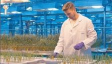 中国农业科技创新加速走向世界 