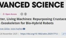 瑞士科学家用虾壳研发机器人登顶刊 
