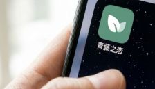 青藤之恋探索AI情感服务新方向 