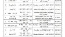 上海新增12款生成式AI服务完成备案 