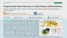 华南理工团队模仿染色体研发可编程高负载人造肌肉 