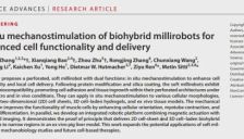 浙大团队研发生物混合软体微型机器人 兼具细胞递送与肌肉训练功能 