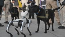 6540台订单揭示消费级具身智能产业化拐点 