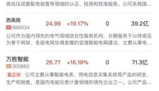 三大指数高开低走小幅收跌 半导体产业链再迎爆发 AI应用持续调整 