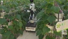 硬核机器人国家队领衔建设国家级智能采收实验室 