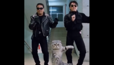 AI视频泛滥引担忧 周星驰经纪人质疑平台监管 影视飓风连发六次警告 字节跳动暂停真人视频上传 