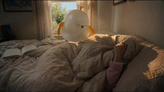 00后辍学研发全球首款飞行AI宠物，小红书押注万亿孤独经济赛道 