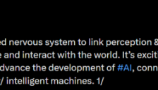 AI教母质疑人形机器人前景 