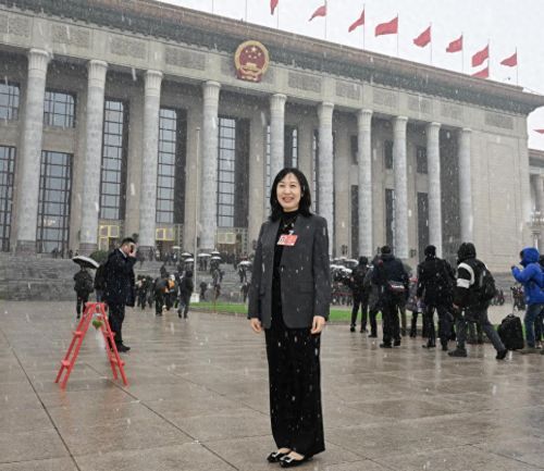 新能源车占比12% 人大代表呼吁保险差异化定价