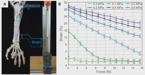 苏黎世联邦理工研发仿生气动机械手 精准复刻人体解剖结构