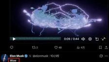 马斯克惊叹全球首例全脑仿真具身智能问世 