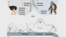 北理工团队研发磁驱微机器人 实现形态功能共融决策 