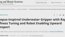 北大谢广明团队研发仿生章鱼抓取器 秒级切换刚柔态突破水下软体机器人响应瓶颈 