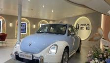 长城汽车销量新高利润反降 转型面临双重挑战 