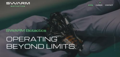 德国赛博蟑螂已列装北约投入部署 靠生物繁殖实现量产