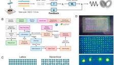 日本科研重大突破 鼠脑神经元可实时执行AI任务 