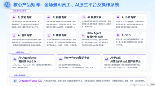 AI原生时代：本体驱动的智能操作系统重构企业增长