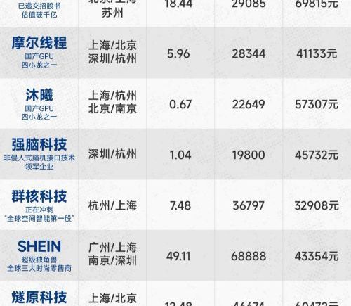 年薪亿元招科学家、平均月薪近7万元 80家隐形大厂浮出水面 包揽AI、机器人、芯片等赛道