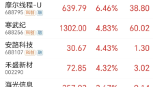 国产AI芯片市场份额已超4成 杠杆资金买入相关个股