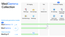 谷歌开源医疗AI模型MedGemma 1.5：从识别平面图像到理解3D影像 