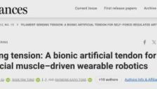 仿生外骨骼肌腱可自主调节力道，相关研究登上《Science》子刊 