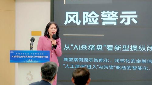中央财经大学数字经济融合创新发展中心主任陈端：金融信息“AI污染”已成为扰动资本市场资源配置的新型风险源