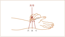 知医邦发布AI中医脉诊量表，推动人人可学把脉并减少对脉象仪依赖 