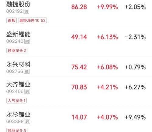 A股早盘：全市超3900股下跌，创业板指跌超2%，芯片、锂矿股拉升，CPO板块下跌，新易盛跌超12%