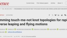 《Science》发布一项基于拓扑学的微型机器人研究：会“解扣起跳”的绳子刷新跳跃极限 