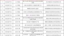 麦芽 AI 入选省级优秀典型案例，湖南元数科技领跑未来产业新赛道 