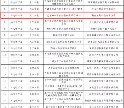 麦芽 AI 入选省级优秀典型案例，湖南元数科技领跑未来产业新赛道
