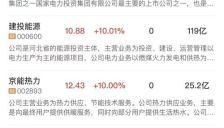 午报：科创50探底回升涨超1%，电力股集体爆发，机器人概念反复活跃 