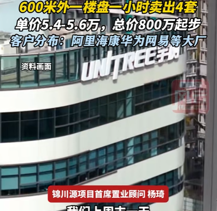宇树科技IPO获批 600米外楼盘1小时卖出4套 总价800万起步