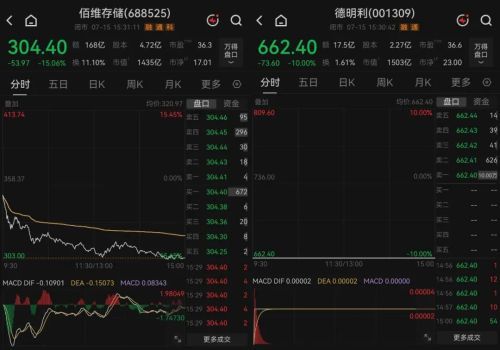 两大存储牛股业绩大涨股价大跌，谁在买谁在卖？